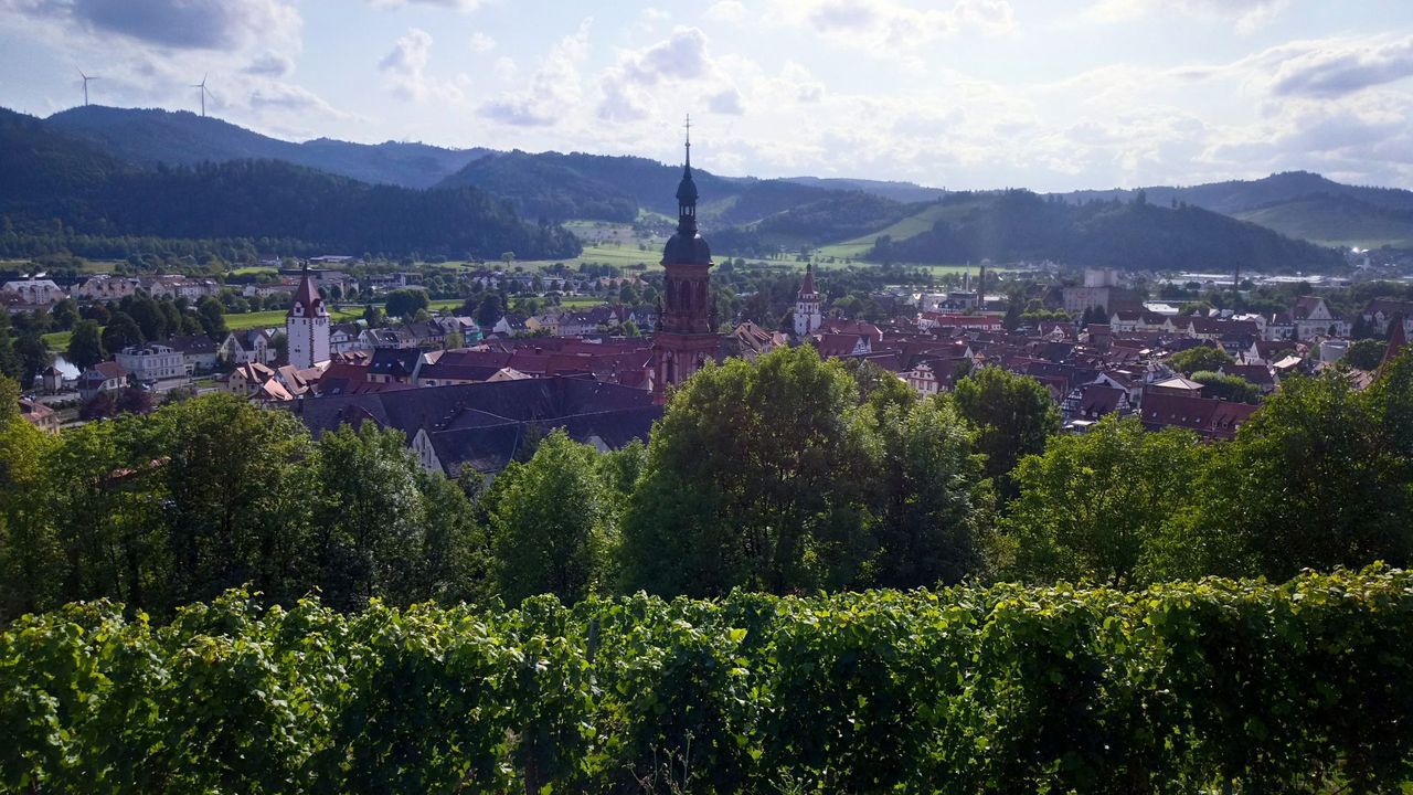 Gengenbach von oben Gengenbach von oben